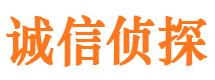 长清市侦探